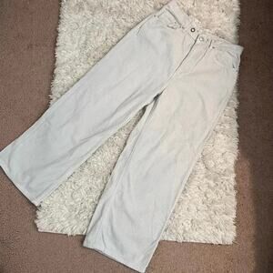 BDG Urban Outfitters High and Wide Corduroy Pants Size 31